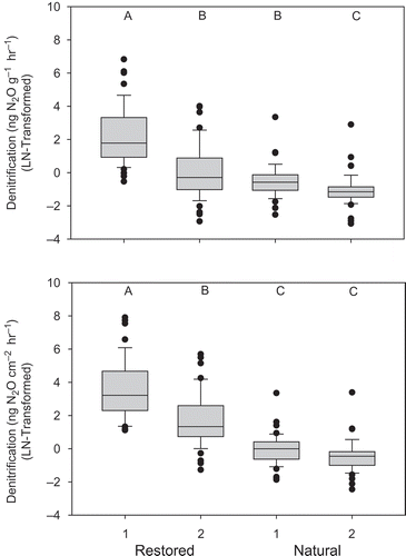 Figure 3. Boxplots of denitrification (natural-log transformed) from the two natural and restored wetlands (n = 48). Different letters indicate significant differences based on Tukey’s test. Variance was significantly greater in restored wetlands based on Levene’s test (p < 0.05).