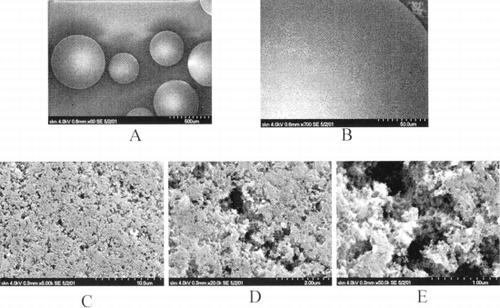 Figure 1. First two pictures (A, B) were done in low resolution mode to demonstrate shape parameters of granules of HSGD carbons. Granule in the middle of the first picture was taken for high magnification examination. Three last pictures (C, D, E) are consequent magnification zooms of the same area on the granule. Scale bars are provided in the bottom right corner of each picture. Numbers correspond to the length of the entire scale bars.