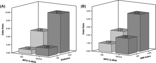 Figure 1. Interaction between MPO G-463A and diabetes (A) and MPO G-463A and BMI (B) on hypertension risk. Odds ratio adjusted for gender, age, high-density lipoprotein, highest educational level, alcohol drinking, and tea drinking and coffee drinking. ptrend < 0.001.