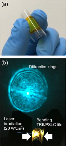 Figure 12. Molecular reorientation behavior of the deformable TR5/PSLC optical limiter in the largely bent state. (a) Image of the deformable optical limiter based on TR5/PSLC sandwiched by COP substrates. (b) Formation of diffraction rings through the bent TR5/PSLC film that added an applied strain of 40% by the jig. Reprinted with permission from Usui et al. [Citation54]. Copyright 2015. The authors licensed under CC BY-NC-ND 4.0.