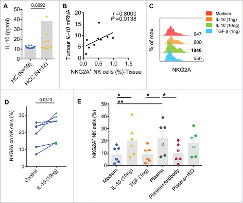 Figure 5. Soluble plasma IL-10 levels are associated with increased NKG2A expression in NK cells. (A) The plasma concentrations of IL-10 were detected in samples taken from healthy controls (N = 19) and HCC patients (N = 12) (Mann–Whitney non-parametric test). (B) Correlation between IL-10 expression and the percentage of NK cells expressing NKG2A in tissue samples from HCC patients (N = 9). Spearman's correlation coefficients are shown. (C) Blood NK cells from the healthy controls were pre-incubated with TGF-β or IL-10. NKG2A expression in NK cells was monitored at 72 h via flow cytometry. The histograms correspond to the NK cells from one representative donor treated with medium alone (red lines), TGF-β (1 ng/mL, blue lines) or IL-10 (1 ng/mL, orange lines; 10 ng/mL, green lines). (D) NKG2A expression on NK cells from each healthy controls pre-incubated with or without IL-10 (10 ng/mL) was monitored at 72 h by flow cytometry (Wilcoxon non-parametric statistical test). (E) NK cells from the healthy controls were cultured with medium alone, TGF-β, IL-10, plasma from HCC patients alone or an anti-IL-10 Ab or isotype control Ab for 3 d. NKG2A expression levels were analyzed via FACS. The differences in the cumulative data were calculated using a Friedman ANOVA followed by Dunn's multiple comparisons test.
