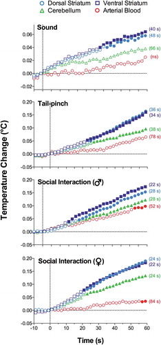 Figure 2. Onset latencies of temperature responses to different environmental challenges in brain structures and arterial blood in freely moving rats. Mean values are shown at 2-s intervals for 10 s before and 60 s after the onset of each stimulus. Filled symbols indicate values significantly (one-way ANOVA followed by Scheffe test, p < 0.05) higher than the last pre-stimulus value. Response latencies were defined as the first significant value vs. baseline and shown in brackets. Data were replotted from reference [Citation36].