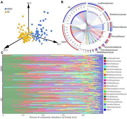 Figure 2 Differential gut microbiota compositions between the two groups. (A) The significant differences on gut microbial compositions between the two groups were identified by the results of PCoA; (B) the dominant bacteria taxa on Family level in MDD patients and HCs; (C) the percent of community abundance on Family level in each sample.