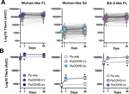 Figure 3. Longitudinal antibody response to SARS-CoV-2 antigens. (A) Longitudinal profile of antibodies against Wuhan-like -full length, FL; or S2 domain- and Omicron BA.5 full length spike (S) proteins in the total cohort. Calculated AUC at each time is shown to quantify changes over time for each individual (small dots) against immunoglobulin G (IgG). Antibody titer was quantified as area under the curve (AUC) after serial serum dilution for each sample. Geometric mean titer (GMT, big dots) and confidence interval (CI 95%) are also shown. (B) Antibody profile as GMT and CI 95% of ELISA titers against SARS-CoV-2 antigens. Independent-Samples Kruskal-Wallis test was performed and Bonferroni correction for multiple tests was applied for pairwise comparisons.