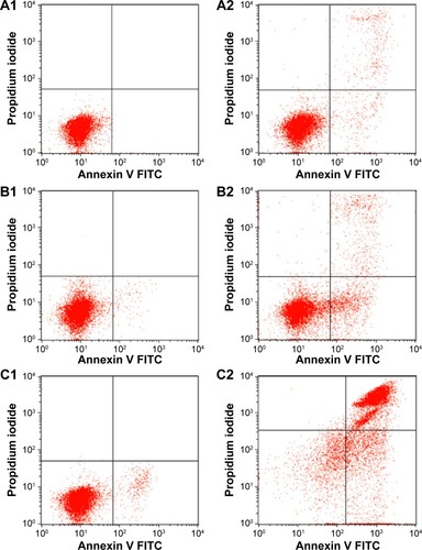 Figure 9 Flow cytometric analysis of apoptosis induction by HA/ZnO nanocomposite in HL-60 cells after staining with FITC-conjugated annexin-V and PI.