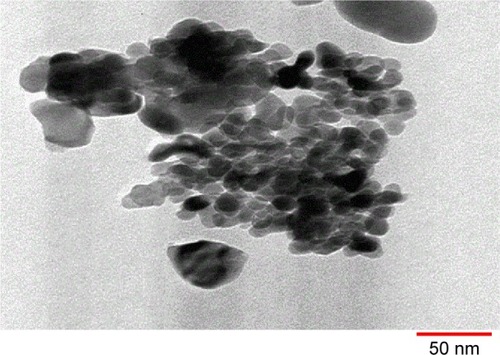 Figure 5 Transmission electron microscopy image of the Fe3+-Mn4+-SO4/ZrO2 sample calcined at 650°C for 5 hours.