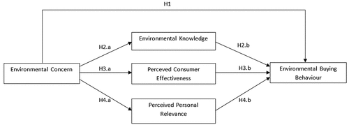 Figure 1. Conceptual model of the relationship between environmental concern and buying behavior.