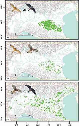 Figure 4. Correlation maps between species suitability: a) lesser kestrel vs red-footed falcon, b) common kestrel vs lesser kestrel, c) red-footed falcon vs common kestrel. Each map shows the statistically significant positive correlations areas (Pearson’s coefficient > 0.70).