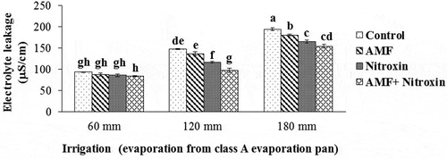 Figure 1. Interaction effect of irrigation and inoculation with bio-fertilizers on electrolyte leakage of sorghum. Values represent means ± SE. Different letters indicate significant differences using LSD test (P <.05)