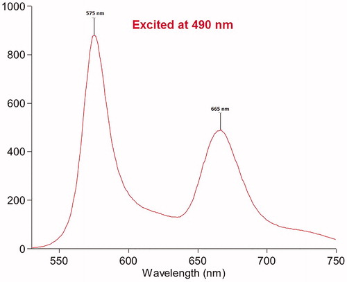 Figure 1. Absorption and emission spectra of RGD-Cy5-R-PE.