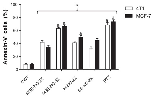 Figure 7 Effects of 48 hours of treatment with nanocapsules MSE-NC, M-NC, and SE-NC on the percentage of cells positively stained for annexin-V.Notes: Breast carcinoma cells (4T1 and MCF-7 lines) were stained with Annexin V-FITC and propidium iodide and analyzed by flow cytometry. Data were normalized with the untreated control and expressed as percentage of the mean ± SEM of two independent experiments performed in triplicate. *Denotes the statistical difference with respect to the control group without treatment (CWT); adenotes the statistical difference with respect to MSE-NC-2X; P < 0.05. 2X = 50 μg/mL of selol and/or 2.5 × 109 particles/mL; 8X = 200 μg/mL of selol +1 × 1010 particles/mL.Abbreviations: MSE-NC, PLGA-nanocapsules loaded with magnetic nanoparticles and selol; M-NC, PLGA-nanocapsules loaded with magnetic nanoparticles; SE-NC, PLGA-nanocapsules loaded with selol; CWT, control with no treatment; PTX, Paclitaxel.