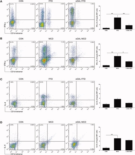 Figure 3. FFD increases intracellular Th1 cytokine production, while MCD diet increases both Th1 and Th2 cytokine from hepatic NKT cells Mice were treated the same as described in Figure 2. Hepatic mononuclear cells were isolated and total NKT cells were identified with CD1d tetramer loaded with a ligand and colabeled with CD3, IFN-γ and IL-4. The percentages of IFN-γ and IL-4 positive hepatic NKT cells from FFD (A and C) and MCD (B and D) mice are presented as both dot plot and mean ± SD values (n = 3 per group). *p <.05, **p < .01.