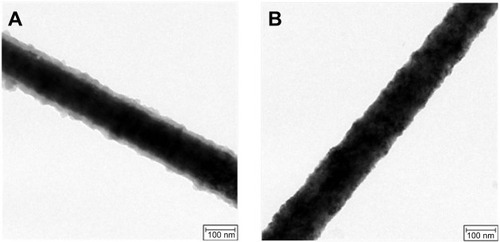 Figure 5 Field emission-transmission electron microscopy images of nanowires.Notes: (A) Streptavidin-Cy3 protein-immobilized nanowire surfaces. (B) Bare CoFe nanowire surface.