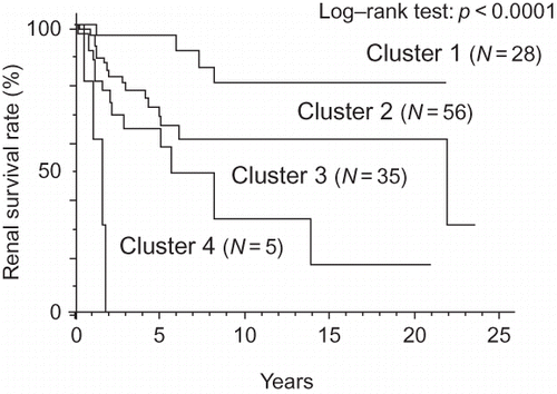 Figure 2. Cluster groups sorted according to the grade of anemia differed significantly with regard to renal prognosis.