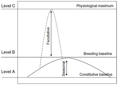 Figure 1 Schematic representation of androgen changes proposed by the challenge hypothesis: (A) constitutive androgen levels; (B) breeding baseline levels needed for successful reproduction; and (C) maximum physiological levels.