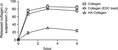 Figure 4.  Degradation profiles of fibrils by collagenase digestion. The digestion was conducted with 0.03 mg/mL collagenase at 37oC. The supernatant of the digestion mixture was centrifuged (17,600g) and the protein in the supernatant was taken as the degraded collagen.