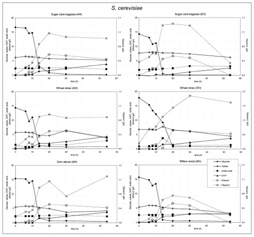 Figure 3 Substrate utilization and product production performance of S. cerevisiae on sugar cane bagasse (AH), wheat straw (AH), corn straw (AH), sugar cane bagasse (EH), wheat straw (EH) and willow wood (AH).