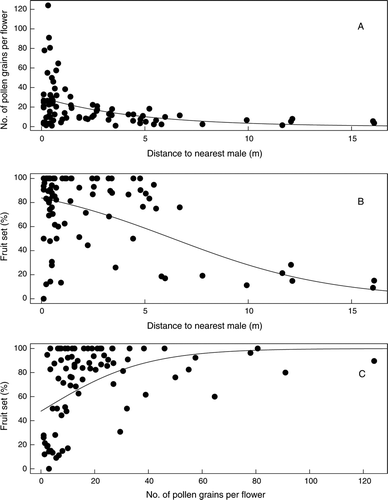 Figure 3  Relationships between the distance to the nearest male plant, pollen receipt on individual flowers (two stigmas) and fruit set in the 83 female Coprosma spathulata plants. A quasi-Poisson regression is fitted to the pollen receipt data and logistic regressions are fitted to the fruit set data. A, Pollen grains versus distance to male (P < 0.001). B, Fruit set versus distance to male (P < 0.001). C, Fruit set versus pollen grains (P < 0.001).