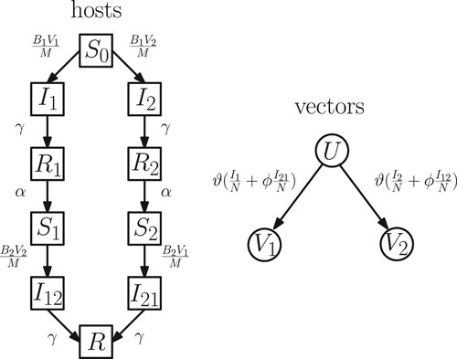 Figure 1. Flow chart of the transitions between the host and vector compartments. The birth and death of hosts and vectors are not explicitly shown for the sake of clarity.