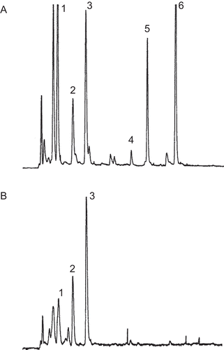 Figure 1.  The gradient high-performance liquid chromatography (HPLC) chromatogram of (A) cold water crude extract of Terminalia chebula galls containing phenolic compounds including gallic acid (1), 1,3,6-tri-O-galloyl-ß-d-glucopyranose (2), punicalagin (3), isoterchebulin (4), chebulagic acid (5), and chebulinic acid (6) and (B) the semipurified fraction.