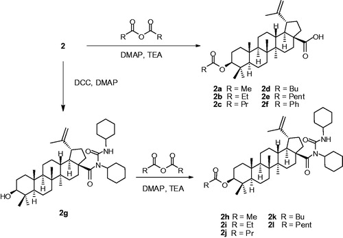 Scheme 1. Modified reactions of betunilic acid (2).