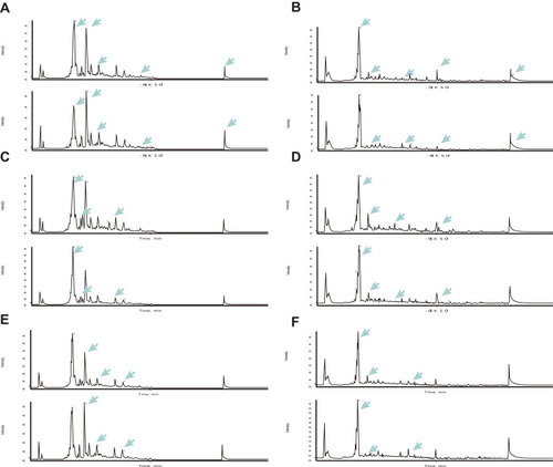 Figure 1 TIC spectra of the different groups. TIC analysis of groups A and B (A and B), groups C and D (C and D), and groups E and F (E and F).