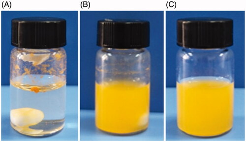 Figure 7. Formation of colloidal suspensions of EM in RADA16-Ior RVDV16-I aqueous solution. (A) In water; (B) In RADA16-I; (C) In RVDV16-I; [EM] = 1.0 mg/mL, [RADA16-I] = [RVDV16-I] = 1.0 mg/mL.