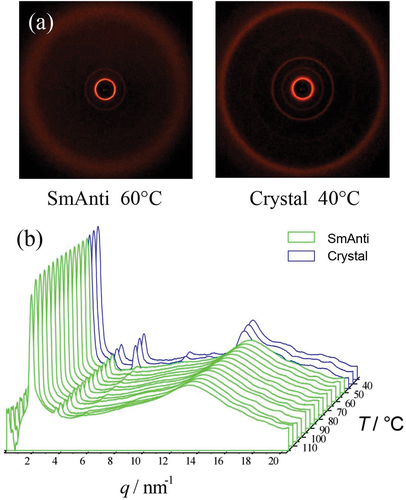 Figure 9. (Colour online) (a) 2-D powder diffraction patterns in each phase of matter, and (b) diffraction profiles as a function of temperature for bimesogen 2b9.