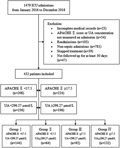 Figure 1. Flow diagram showing patient selection and grouping. Patients admitted to the ICU between January 2016 and December 2018 were assessed for possible enrollment. Of the 1479 ICU patients, 432 were enrolled on the basis of inclusion and exclusion criteria. Groups were categorized according to their baseline APACHE II score and UA concentration, with Group I including patients with APACHE II score <17.5 and UA concentration <296.27 µmol/L, Group II patients with APACHE II score <17.5 and UA concentration ≥296.27 µmol/L, Group III patients with APACHE II score ≥17.5 and UA concentration <296.27 µmol/L, and Group IV patients with APACHE II score ≥17.5 and UA concentration ≥296.27 µmol/L. Abbreviations: APACHE, Acute Physiology and Chronic Health Evaluation; UA, uric acid.