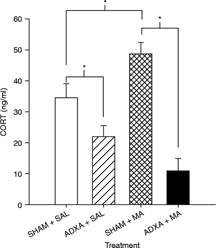Figure 8.  CORT levels following ADXA or SHAM pretreatment and MA or SAL 24 h after the first drug dose on P11 (killed on P12). CORT levels were significantly higher in the SHAM+MA group compared to those in both the SHAM+SAL group and importantly the ADXA+MA group. The ADXA+SAL animals had lower CORT levels compared to the SHAM+SAL animals. Six animals/treatment were used. *p < 0.05.