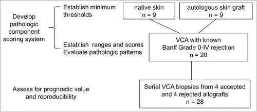 Figure 1. Development of the pathologic component scoring system and evaluation for prognostic value and reproducibility.