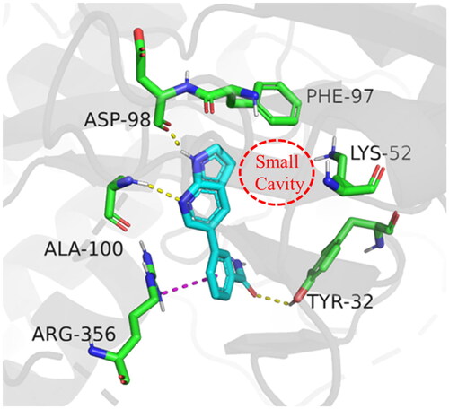 Figure 2. Binding mode of compound C43 with active site of CDK8 (PDB: 5IDN). CDK8 is shown in gray ribbons with selected residues coloured green. Hydrogen bonds are drawn as yellow dashed lines, and pi-pi stacking is drawn as magenta dashed lines. Compound 43 is shown with blue stick. The illustration was generated using PyMOL.