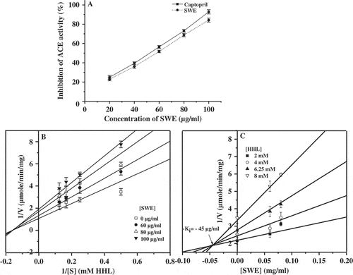 Figure 5. Effect of SWE on ACE activity. Percentage inhibition of SWE and standard drug captopril relative to control at various concentrations are shown (A). The control (100%) activity corresponds to the activity devoid of any added SWE. LB plot (B) and Dixon plot (C) for the inhibition of SWE on ACE activity are shown. Results are expressed as mean ± SD (n = 6).