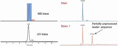 Figure 6. Detection of partially unprocessed leader sequence in mAb 3