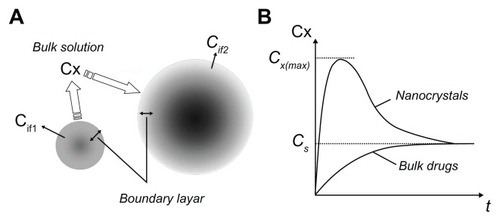 Figure 8 Solubilization model of nanocrystals and bulk drugs. (A) Solubilization process; (B) solubilization curves.
