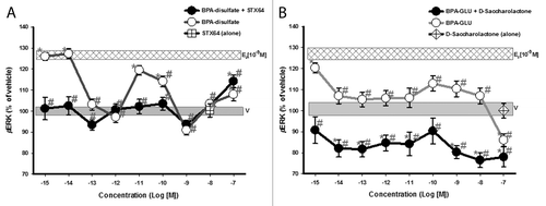 Figure 4. Dose-response analysis of ERK phospho-activation (pERK) by BPA phase II metabolites. GH3/B6/F10 cells were exposed to increasing concentrations (in log increments) of (A) Bisphenol A- disulfate and (B) Bisphenol A β-d-glucuronide. The cells were pre-incubated ± D-glucaric acid-1,4-lactone (20 mM) or STX-64 (10 nM) to inhibit β-glucuronidase and sulfatase, respectively. pERK was measured by plate immunoassay at a 5 min exposure time. Controls for the inhibitor administered alone are shown by a symbol at the single concentration at which it was used. The widths of the vehicle and E2 (10−9M) bars represent the means ± SE (n = 24 over three experiments) * = p < 0.05 when compared with vehicle (V). # = p < 0.05 when compared with 10−9M E2. E2 (10−9M) is significantly different from vehicle.