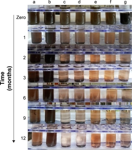 Figure 4 Effect of coating type on AgNPs (500 µg AgNPs/mL) sedimentation rate in water over time: (a) 5 mM PEG-coated AgNPs; (b) 10 mM PEG-coated AgNPs; (c) 5 mM SDS-coated AgNPs; (d) 10 mM SDS-coated AgNPs; (e) 5 mM β-CD-coated AgNPs; (f) 10 mM β-CD-coated AgNPs; and (g) uncoated AgNPs.Abbreviations: AgNPs, silver nanoparticles; PEG, polyethylene glycol; SDS, sodium dodecyl sulfate; β-CD, β-cyclodextrin.