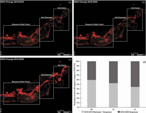 Figure 2. Classified N.D.V.I. imagery products for negative changes for 2010–2020 Hurricane + Sargassum (a), 2018–2020 for Sargassum (b), and total change from 2010 to 2020 (c) for each study area. Red colour indicates negative pixel values. The graph (d) is a summary of the proportion of area with negative change in N.D.V.I. per time-period in percent