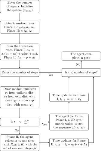 Figure 4. Flowchart for simulation of a 2D intermittent random walks.