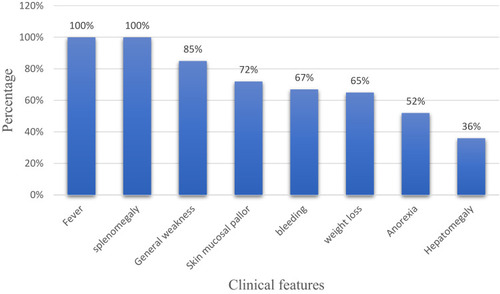 Figure 1 Clinical features of visceral leishmaniasis patients in Western Tigrai, Northern Ethiopia from November 2018 to April 2019 (n = 100).