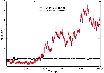 Figure 9. Hydrogen-bond lengths for the d-2CP–DehD and l-2CP–DehD complexes during the MD simulations. d-2CP–DehD (black); l-2CP–DehD (red).