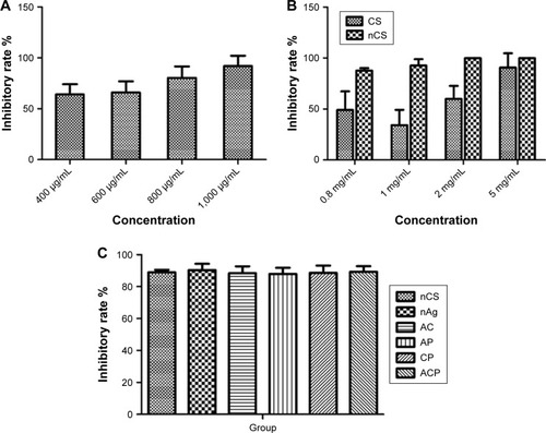 Figure 6 Antibacterial activity of different materials against Escherichia coli.Notes: Inhibitory effect of nAg against E. coli (A). Inhibitory effect of CS and nCS against E. coli (B). The influence of nPLGA on the inhibitory effect of nAg and nCS against E. coli (C). AC (nAg+nCS); AP (nAg+nPLGA); CP (nCS+nPLGA); ACP (nAg+nCS+nPLGA).Abbreviations: CS, chitosan; nAg, silver nanoparticles; nCS, CS nanoparticles; nPLGA, poly(lactic-co-glycolic acid) nanoparticles.