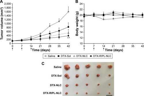 Figure 8 In vivo antitumor efficacies in SKOV3-bearing BALB/c nude mice treated with different formulations.Notes: Animals (n=5) received 10 mg DTX/kg intratumorally on day 0, 7, and 14, a total of three injections per mouse as indicated by arrows. (A) Changes in tumor volume for 6 weeks post-administration. (B) Body weight changes for 6 weeks post-administration. (C) Morphology of excised xenograft tumors at the end of the study (day 42). Black bar indicates 30 mm. Statistical analysis was performed using Student’s t-test (*P<0.05 versus saline; #P<0.05 versus DTX-Sol).Abbreviations: DTX, docetaxel; DTX-Sol, docetaxel solution; DTX-NLC, docetaxel-loaded nanostructured lipid carrier; DTX-RIPL-NLC, docetaxel-loaded RIPL peptide-conjugated nanostructured lipid carrier.