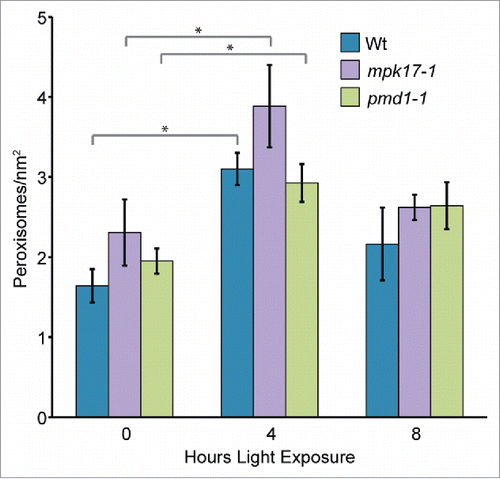 Figure 1. Peroxisomes in mpk17-1 and pmd1-1 respond normally to sudden light exposure. Mean number of peroxisomes in dark grown hypocotyls from wild type (Wt; Col-0), mpk17-1, and pmd1-1 after the indicated length of light exposure. * indicates p value < 0.05.