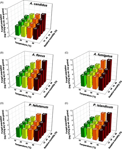 Figure 1. Effect of different temperatures (10, 20, 30, and 40 °C) and relative humidities (RHs; 12, 44, 76, and 98%) at equilibrium on fungal populations 2 weeks after inoculation of rice grains with (A) Aspergillus candidus AC317, (B) Aspergillus flavus AF57, (C) Aspergillus fumigatus AF8, (D) Penicillium fellutanum KU53, or (E) Penicillium islandicum KU101. Surface-sterilized rice grains were inoculated with 106 fungal conidia/g dry weight of rice grains. Fungal populations were evaluated after 4 days of incubation on dichloran 18% glycerol agar amended with 50 mg/ml of chlortetracycline. Different lowercase and uppercase letters on bars (n = 6) are significantly different between different temperatures for a given RH and RHs for a given temperature, respectively, according to Tukey’s HSD test at p < .05. CFU: colony-forming unit.