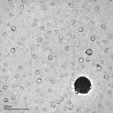 FIG. 6 TEM image of the particles collected with the AQPS probe at 1300°C.