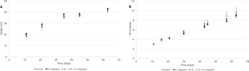 Figure 1. Average height (A) and number of leaves (B) of growing wheat plants in the greenhouse. Ureibacillus sp. 18UE/10 is marked as 18, 18+R. irregularis represents the treatment with both the bacteria and the arbuscular mycorrhiza Rhizophagus irregularis. Symbols representing average data are as follows: control (open circles), R. irregularis (closed circles), strain 18 (diamonds) and strain 18+R. irregularis (triangles). Vertical bars indicate SE (n = 5).