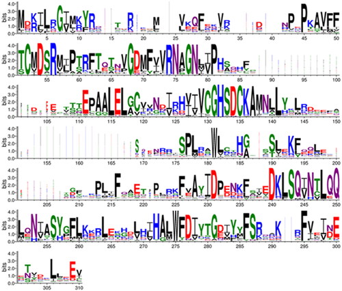 Figure 6. Comparison of metazoan β-CA proteins. This sequence logo represents an MSA of 162 sequences, cropped at both ends to show only the extent of the SmaBCA sequence. The height of each stack of letters represents the conservation (information content) of each column in the alignment. The width of the letters represents the number of non-gap characters in each column (i.e. very narrow letters indicate positions in which only few of the aligned proteins have any sequence).