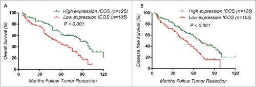 Figure 3. Kaplan–Meier analysis of overall survival in colorectal cancer patients and differences were analyzed by Log Rank test. (A, B), High expression of ICOS is associated with a good overall survival (OS) (p < 0.001) and a longer DFS (p < 0.001). ICOS was detected by monoclonal antibody (ab105227, abcam).