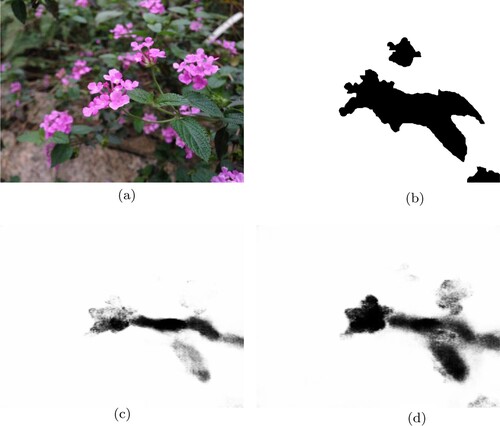 Figure 7. Comparison of results generated from our model without and with contrast layers. (a) Original Image. (b) GT. (c) Result without contrast layers MAE = 0.098 S-measure = 0.657 and (d) Result with contrast layers MAE = 0.082 S-measure = 0.792.